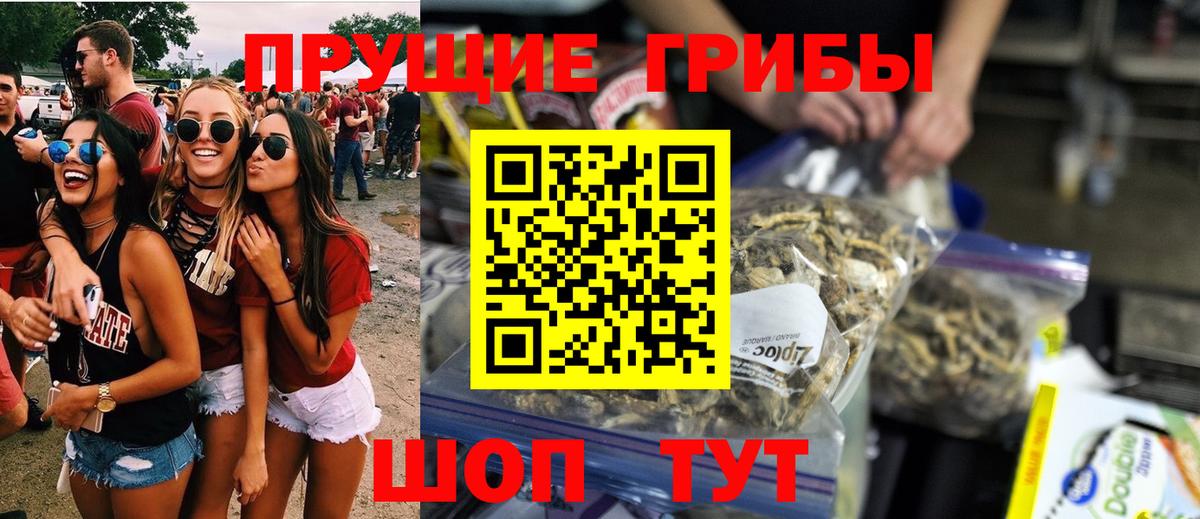 Галлюциногенные грибы Psilocybe Валуйки